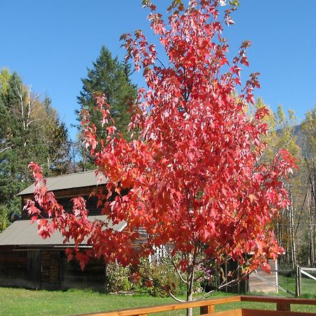 Birch Meadows Lodge B&B Fernie Exterior photo